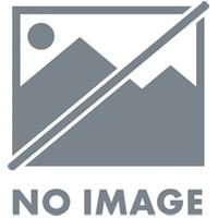 ALCAR STAHLRAD 9816 5x17 5/100 ET40 CB54