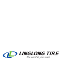 215/70R15C 109R LINGLONG GreenMax Winter Grip Van 2